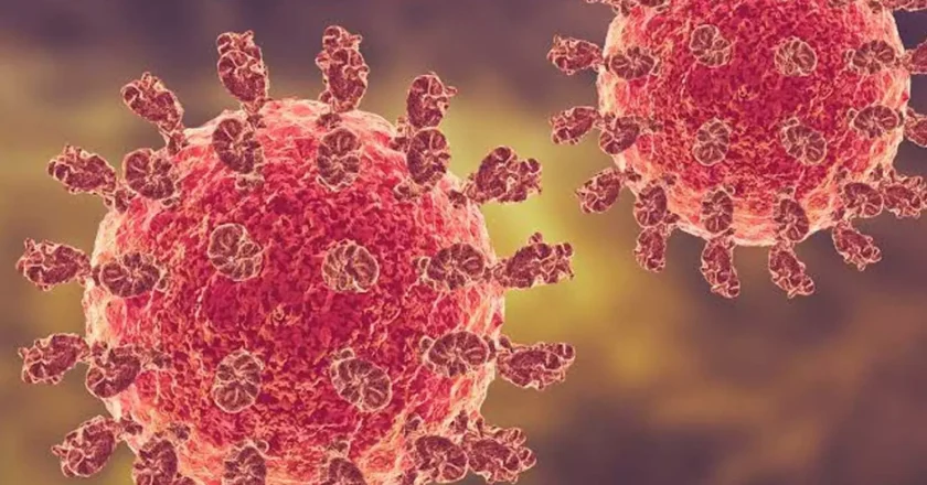 വീണ്ടും നിപ? പ്രാഥമിക പരിശോധനയിൽ 38കാരിക്ക് രോഗബാധ