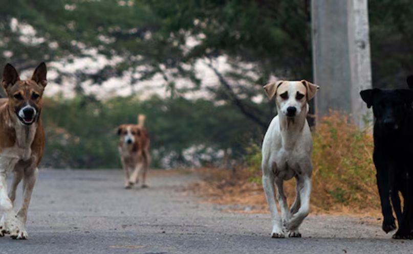 3WqKZI3z Untitled design 32