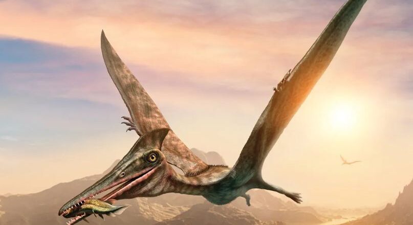 20.9 കോടി വർഷം പഴക്കമുള്ള ഫോസിലുകൾ കണ്ടെത്തി