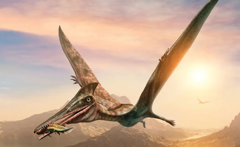 9ZTDeVYJ Untitled design 16