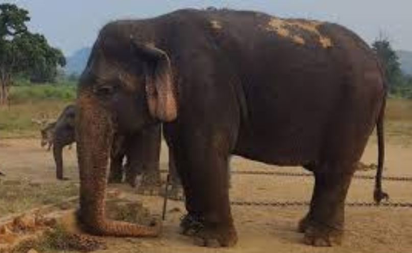 Dhov5rb5 Untitled design 34