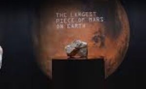 FPmXsede Untitled design 55