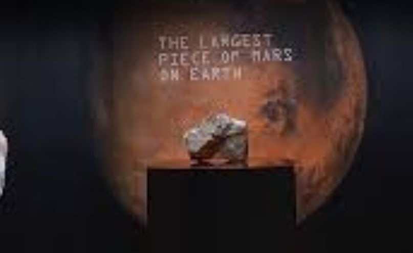 FPmXsede Untitled design 55