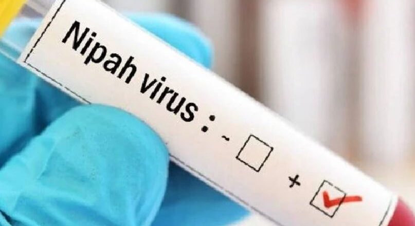 നിപ ഭീഷണി ; മൃഗങ്ങളിൽ നിന്ന് സാമ്പിളുകൾ പരിശോധിക്കും. പാലക്കാട് ജാഗ്രത തുടരുന്നു