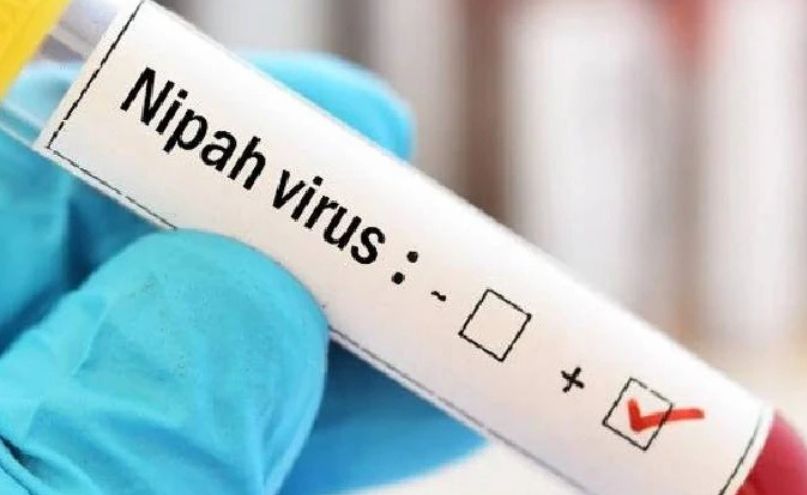 O0VxdeUt Untitled design 5