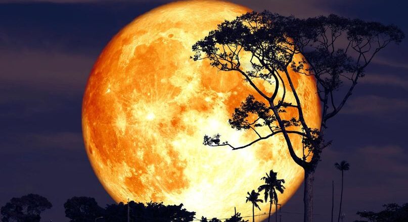 ആകാശത്ത് ഇന്ന് ബക്ക് മൂണ് കാണാം
