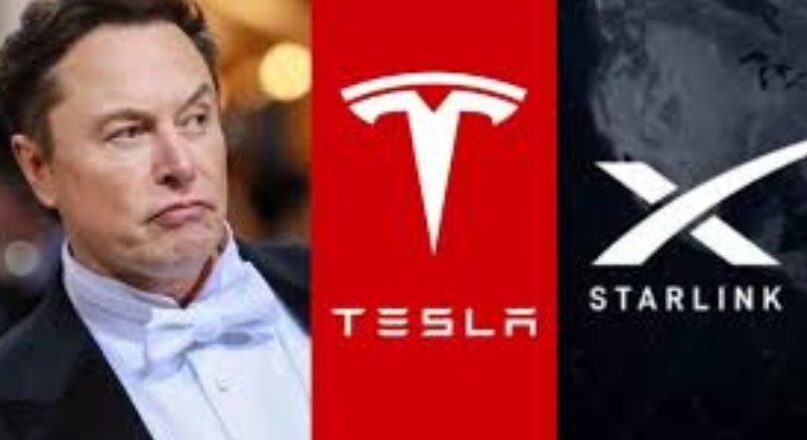 ഇന്ത്യൻ വിപണിയിൽ ടെസ്‌ലയും സ്റ്റാർലിങ്കും; ഇലോൺ മസ്‌കിന്റെ നീക്കങ്ങൾ