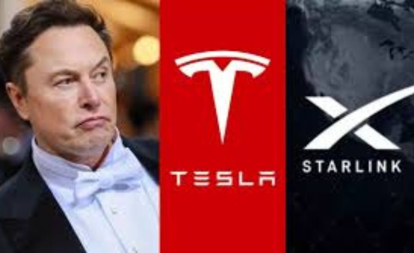 U7tlQSw6 Untitled design 45