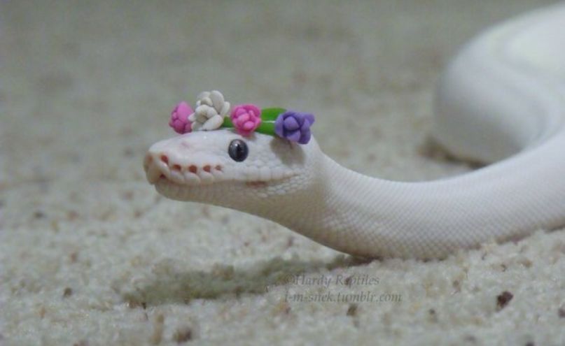 Untitled design 2025 07 16T121322.733