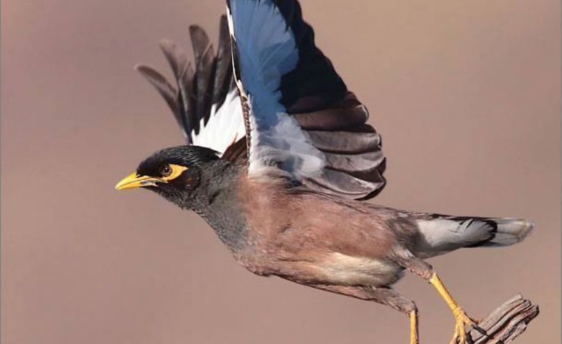 Untitled design 2025 07 18T182012.090