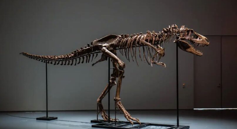 കുഞ്ഞു ദിനോസര്, ഫോസിലിന് ലേലത്തില് ലഭിച്ചത് 263 കോടി രൂപ!