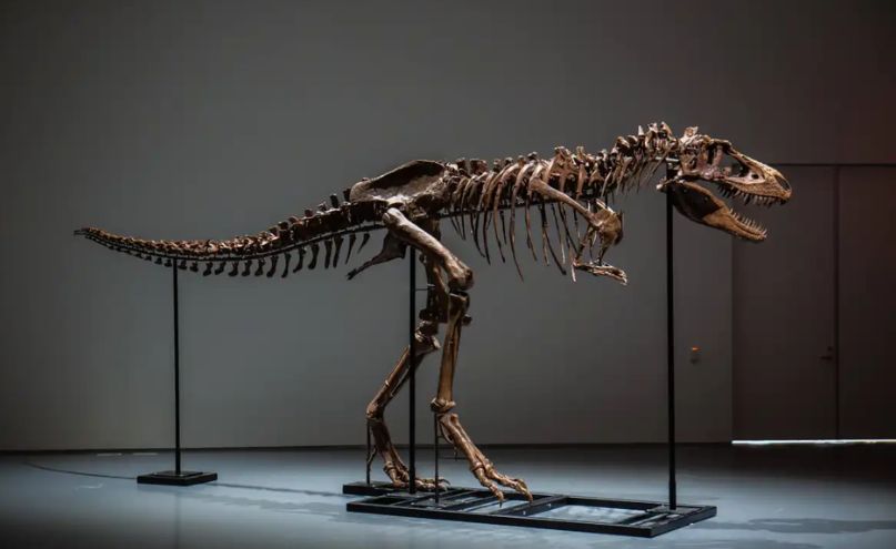 Untitled design 2025 07 22T151814.178