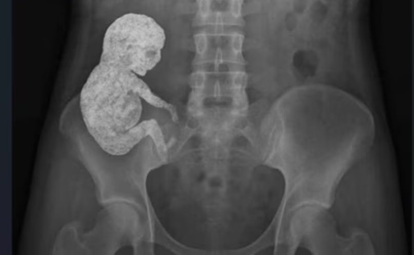 Untitled design 2025 07 23T111243.897