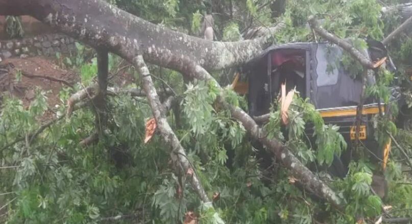 പാലക്കാ‌ട് ജില്ലയിൽ ശക്തമായ കാറ്റിലും മഴയിലും വ്യാപക നാശനഷ്ടം