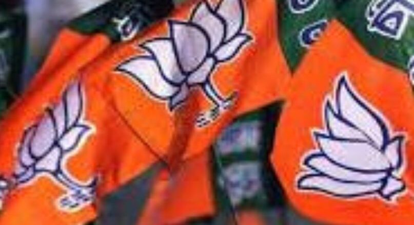 ബി.ജെ.പി സംസ്ഥാന ഭാരവാഹി പട്ടിക ഇന്ന് പുറത്തിറങ്ങും; പുനഃസംഘടനയിൽ വലിയ മാറ്റങ്ങൾ