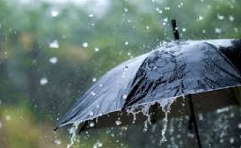 UuZuzNMy Untitled design 3