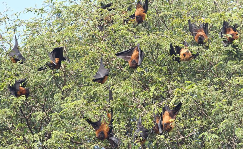 cjemMVix Untitled design 29