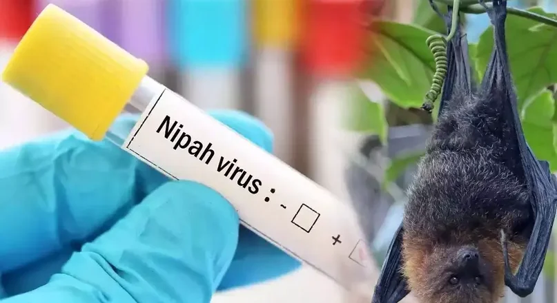 പാലക്കാട് നിപ ബാധിച്ച് ചികിത്സയിലുള്ള യുവതിയുടെ നിലഗുരുതരം