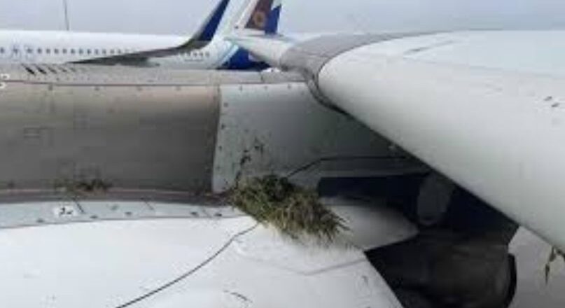 കൊച്ചിയിൽ നിന്ന് മുംബൈയിലേക്കുള്ള എയർ ഇന്ത്യ വിമാനം റൺവേയിൽ നിന്ന് തെന്നി; യാത്രക്കാർ അതീവ സുരക്ഷിതർ