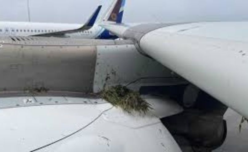 elrI4upp Untitled design 92