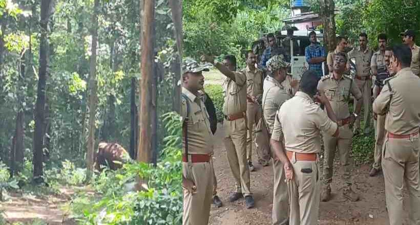 കോന്നിയിൽ കാട്ടാന ആക്രമണത്തിൽ വനം വകുപ്പ് ജീവനക്കാർക്ക് പരുക്ക്