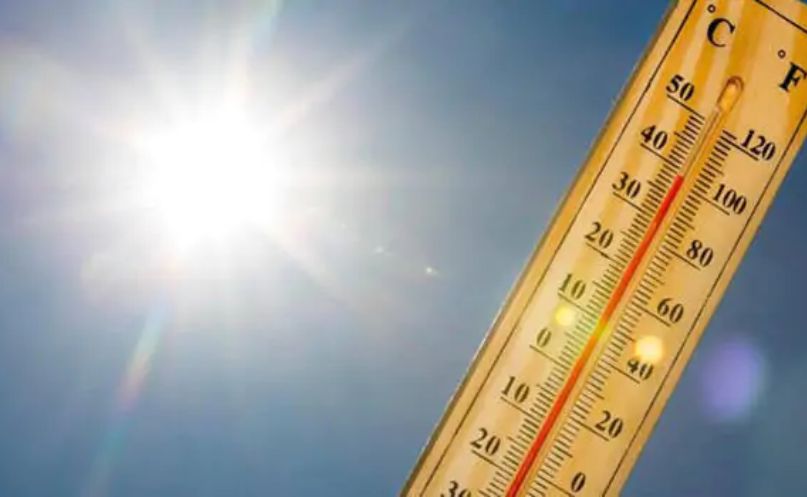 jukiCdry Untitled design 58