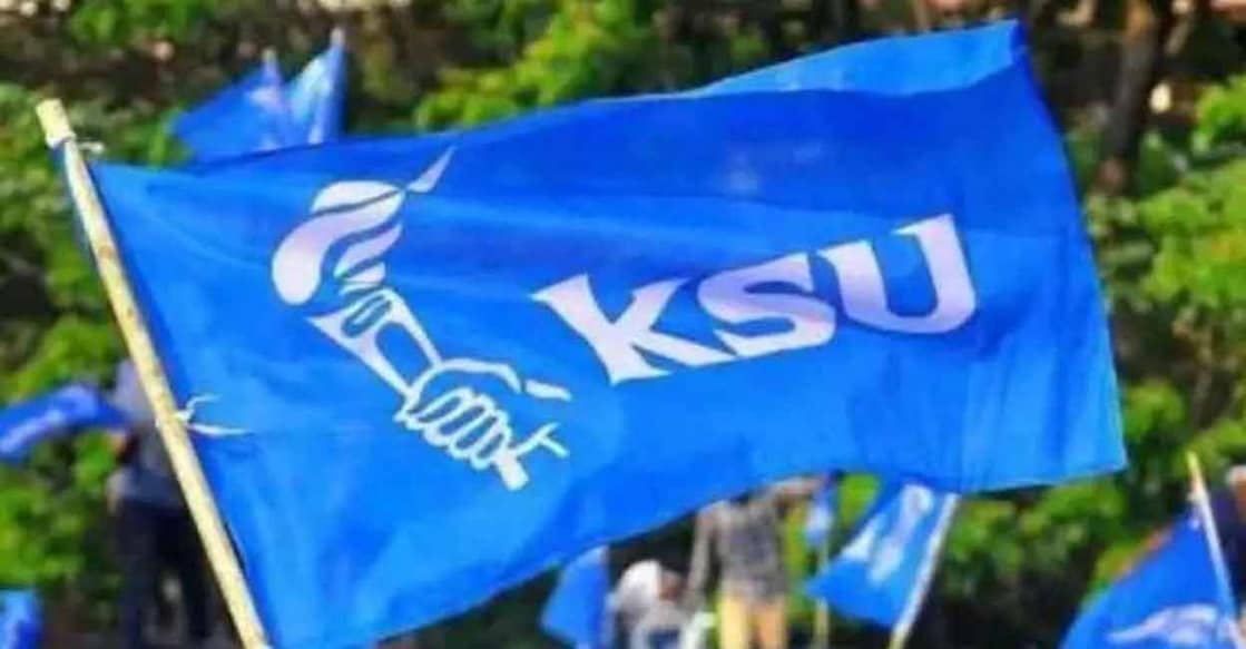 ksu flag