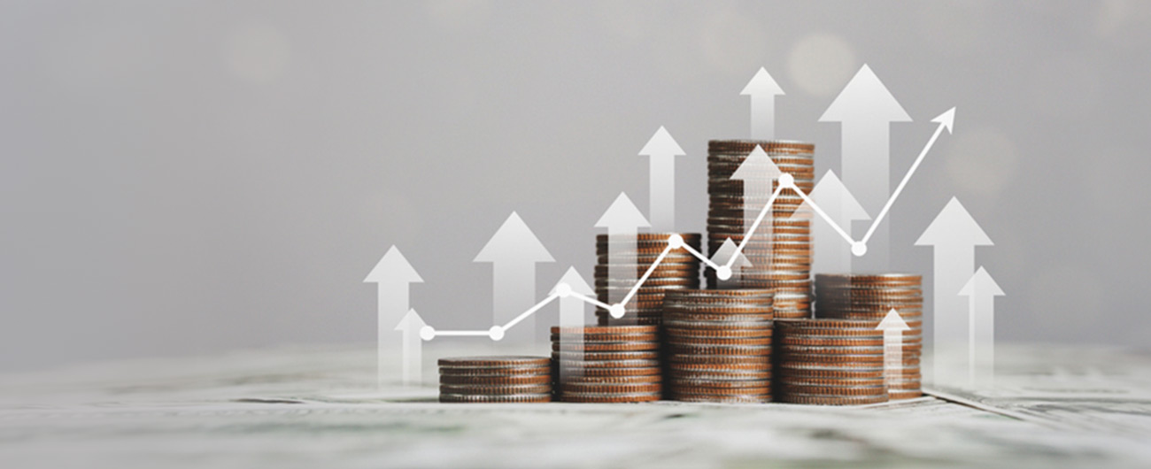 objectives of investment