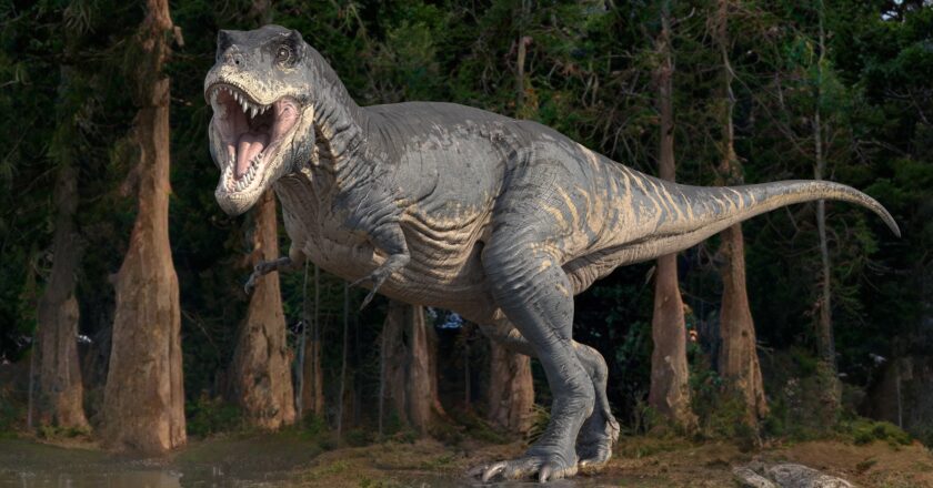 ഇന്ത്യയിലെ ദിനോസറുകള്! രാജസ്ഥാനില് നിന്ന് ജുറാസിക് കാലഘട്ടത്തിലെ ഫോസില് കണ്ടെത്തി.