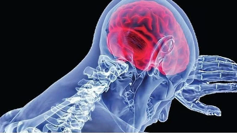 സംസ്ഥാനത്ത് വീണ്ടും അമീബിക് മസ്തിഷ്ക ജ്വരം; മലപ്പുറം സ്വദേശിയായ 47കാരന് രോഗബാധ