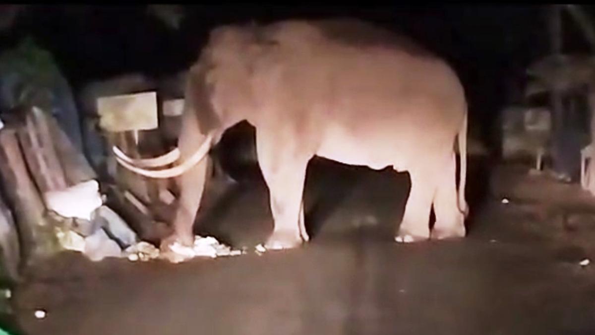 80759 19 6 2023 18 4 15 1 PADAYAPPAECO POINT1