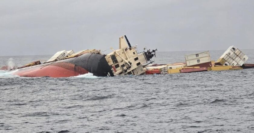 എംഎസ്‌സി എൽസ3 കപ്പൽദുരന്തം: മത്സ്യമേഖലയിൽ സൃഷ്ടിക്കുന്നത് ഗുരുതര പ്രത്യാഘാതം