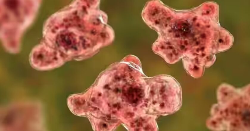 അമീബിക് മസ്തിഷ്‌കജ്വരം: നിർദേശങ്ങളടങ്ങിയ ഉത്തരവ് ആരോഗ്യ വകുപ്പ് പുറത്തിറക്കി