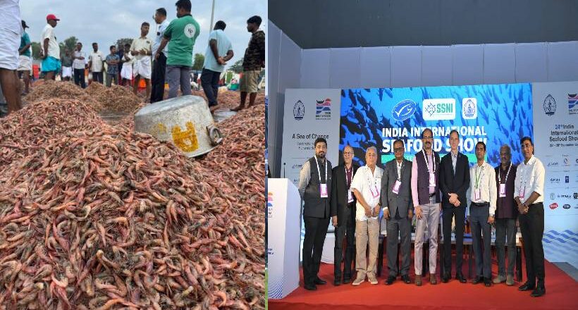 രാജ്യത്തെ 10 മത്സ്യയിനങ്ങൾക്ക് മറൈൻ സ്റ്റിവാർഡ്ഷിപ്പ് കൗൺസിൽ സർട്ടിഫിക്കേഷൻ നടപടികൾ അവസാനഘട്ടത്തിലേക്ക്.