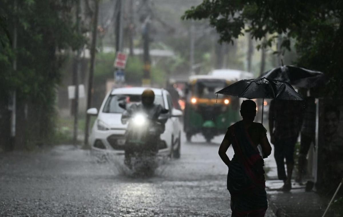 kochi rain vibhu
