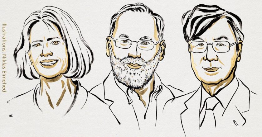 2025 വൈദ്യശാസ്ത്ര നൊബേല് പുരസ്കാരം പ്രഖ്യാപിച്ചു; പ്രതിരോധശേഷിയുമായി ബന്ധപ്പെട്ട ഗവേഷണത്തിന് പുരസ്കാരം