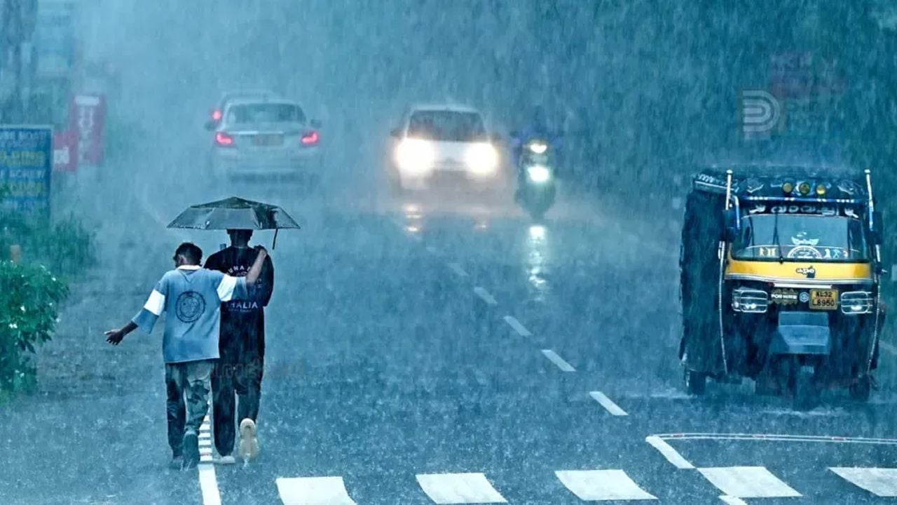 rain 1741691630899 56db8594 901f 4e8a bdd9 9ef48d427bf7