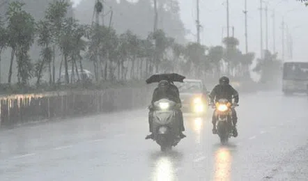 Rains V jpg 442x260 4g