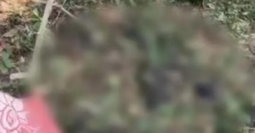 കോഴിക്കോട്: മടവൂരിൽ ആളൊഴിഞ്ഞ പറമ്പിൽ മനുഷ്യൻ്റെ അസ്ഥികൂടം കണ്ടെത്തി