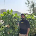 മണലാരണ്യത്തിൽ റാഷിദ് വിളയിച്ച ‘പടന്നക്കാട്’ പെരുമ; അബുദാബിയിൽ നൂറുമേനി ജൈവവിളവെടുപ്പ്