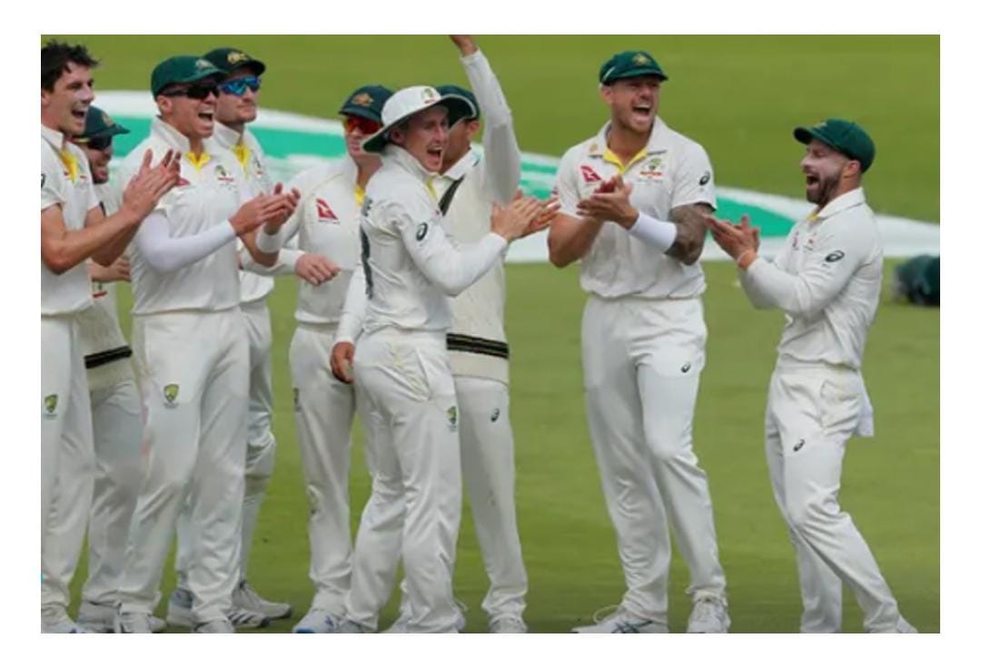 the cricket