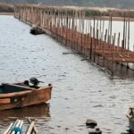 തിരുനാവായ കുംഭമേളയ്ക്ക് തടയിട്ട് റവന്യൂ വകുപ്പ്; പാലം നിർമ്മാണത്തിന് സ്റ്റോപ്പ് മെമ്മോ, ആര് തടഞ്ഞാലും നടത്തുമെന്ന് സംഘാടകർ