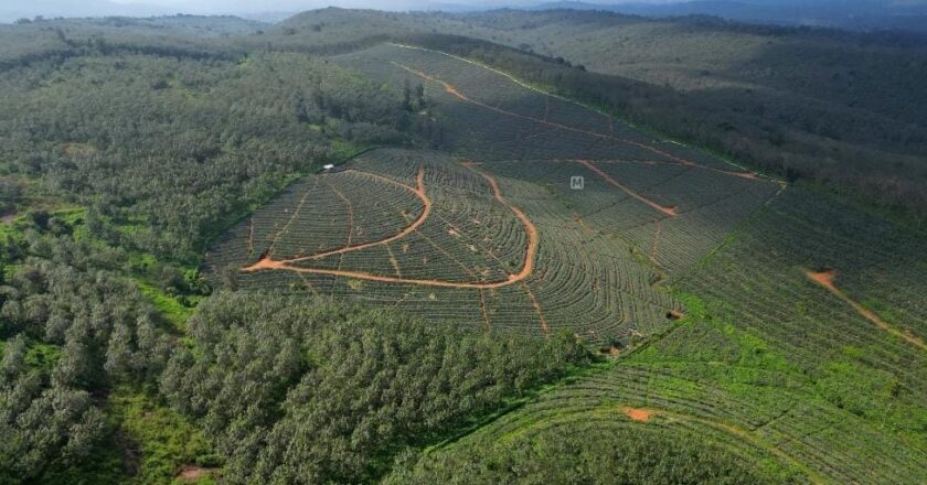 ചെറുവള്ളി എസ്റ്റേറ്റ് സർക്കാർ ഭൂമിയല്ല; ഉടമസ്ഥാവകാശ കേസിൽ സർക്കാരിന് തിരിച്ചടി, വിധി വിമാനത്താവള പദ്ധതിക്ക് തിരിച്ചടിയായേക്കും