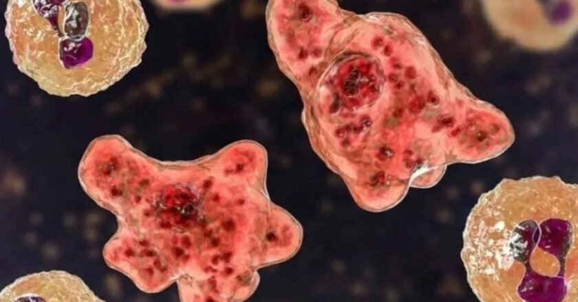 മസ്തിഷ്കജ്വരത്തെ തുരത്താൻ ‘ക്യാച്ച് അപ്പ്’; കോഴിക്കോടും മലപ്പുറത്തും പ്രതിരോധ കുത്തിവെപ്പ് ജനുവരി മുതൽ