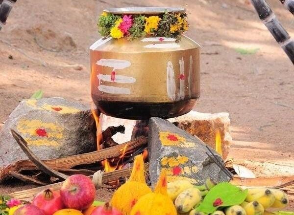 തൈപ്പൊങ്കൽ: ആറ് ജില്ലകൾക്ക് വ്യാഴാഴ്ച പ്രാദേശിക അവധി; തമിഴകം ആഘോഷലഹരിയിൽ