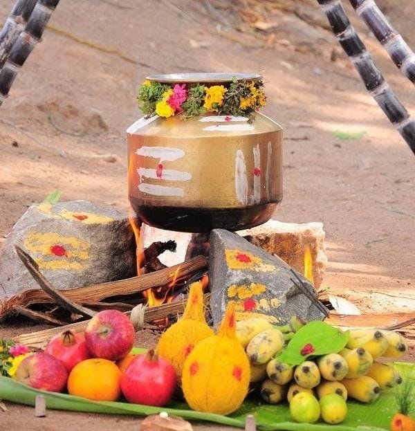 pongal