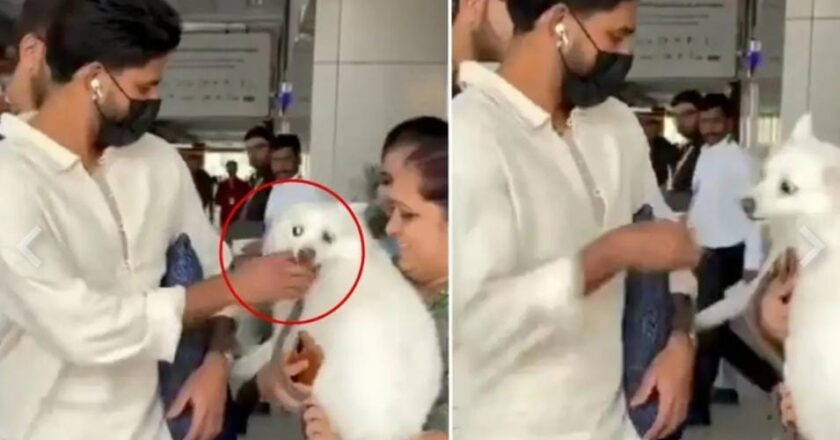 നായയെ കൊഞ്ചിക്കാൻ പോയ ശ്രേയസ് അയ്യർ കടിയേൽക്കാതെ രക്ഷപ്പെട്ടത് ഭാഗ്യം കൊണ്ട്