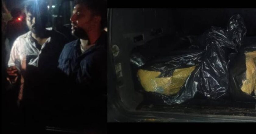 പേയാട് 16 കിലോ കഞ്ചാവ് പിടികൂടി; രണ്ട് പേർ അറസ്റ്റിൽ; പിടിയിലായത് റെന്റൽ കാർ ബിസിനസിന്റെ മറവിൽ