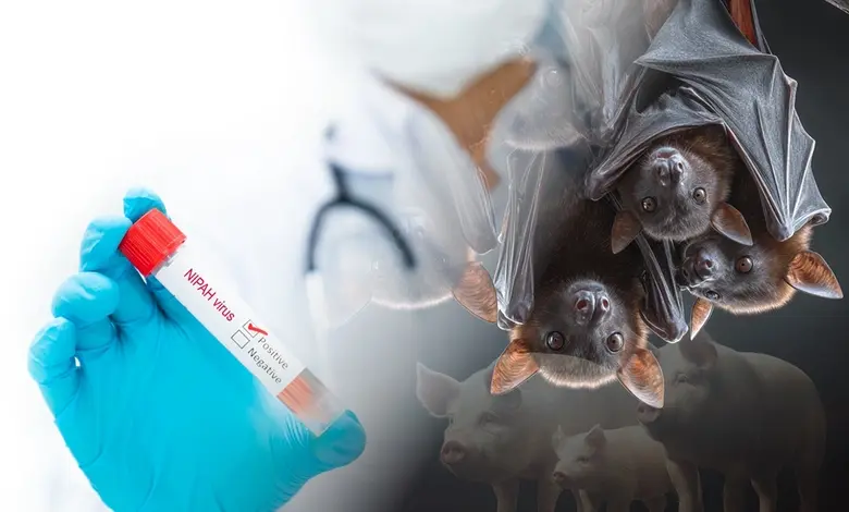 Nipah Virus In India