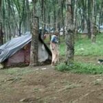 പട്ടയം അനുവദിച്ച ഭൂമി വാസയോഗ്യമല്ല”;ചെങ്ങറ മാതൃകയിൽ വീണ്ടും ഭൂസമരം